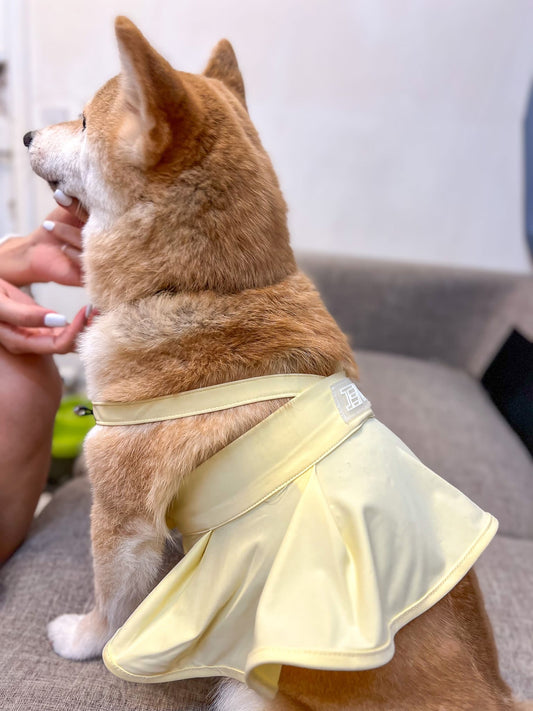 Pet yoga skirt