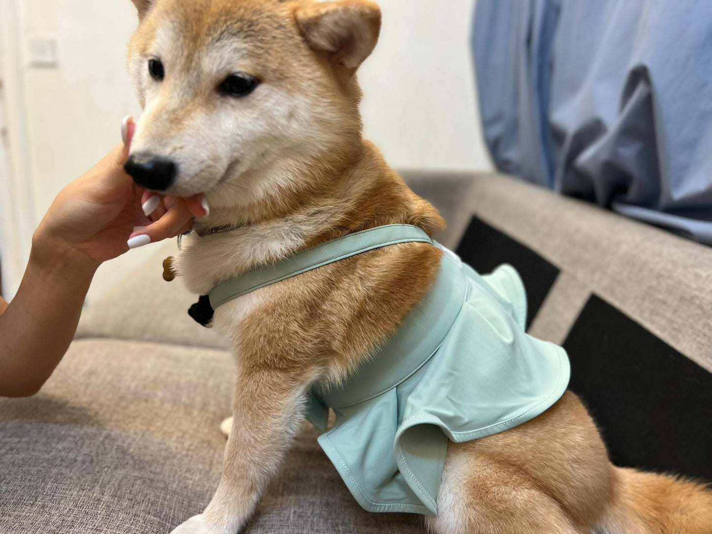 Pet yoga skirt